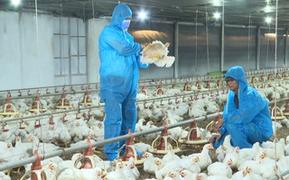 Kế hoạch bứt phá của Tây Ninh