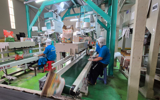 Xuất khẩu gạo không suôn sẻ