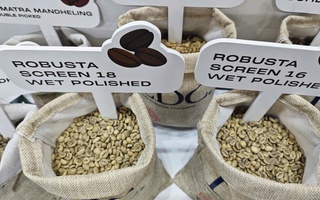 Giá cà phê hôm nay 7-8: Cà phê trong nước vững bước trên 100.000 đồng/kg