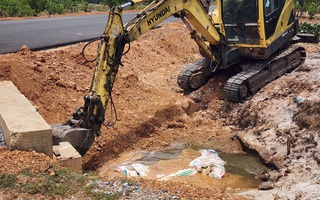 Hàng loạt xác heo chết bị vứt bừa bãi ra môi trường ở Quảng Trị