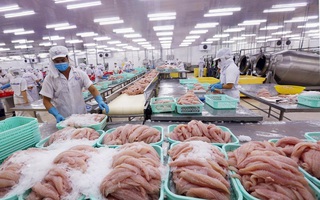 Lo xuất khẩu thủy sản giảm vì thuế đối ứng
