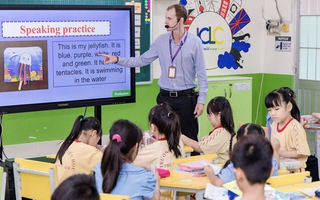 Ai được miễn giấy phép lao động khi làm việc tại Việt Nam?