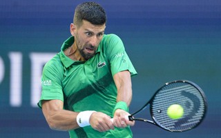 Novak Djokovic nhận án phạt từ TP Marbella