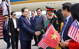 Thúc đẩy vai trò ngoại giao nghị viện