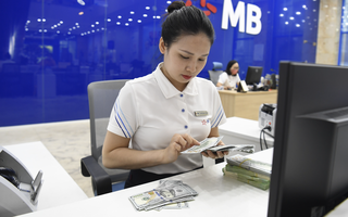 Giá USD tại Việt Nam có diễn biến mới