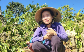 Diễn biến bất ngờ vụ anh rể phá vườn cây "đòi quan hệ với em vợ"