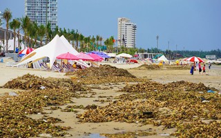Ngăn rác biển từ đầu nguồn