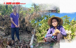 Diễn biến mới vụ anh rể phá vườn cây để "đòi quan hệ với em vợ"