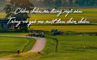 Tiếng Việt giàu đẹp: "Ruột đau chín chiều"