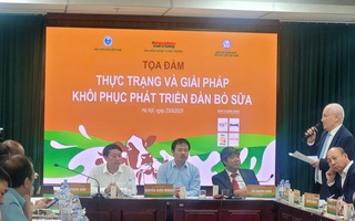 Chuyện gì đang xảy ra ở nhiều "thủ phủ bò sữa"?