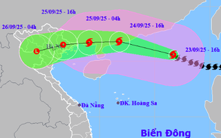 Thủ tướng yêu cầu ứng phó siêu bão số 9 Ragasa ở mức cao nhất
