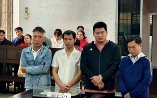 Xét xử vụ án sử dụng hóa chất độc hại để sản xuất giá đỗ, gây xôn xao dư luận