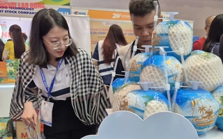 Xuất khẩu dừa của Việt Nam sang Campuchia tăng đột biến, gấp 681 lần cùng kỳ