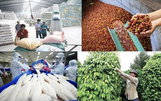 Thêm cơ hội vay vốn ưu đãi ngành nông, lâm, thủy sản