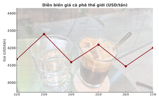 Giá cà phê hôm nay 27-9: Tăng mạnh do đâu?
