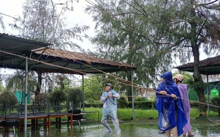 Bão số 10 Bualoi giật cấp 15 áp sát: Người dân hối hả phòng chống