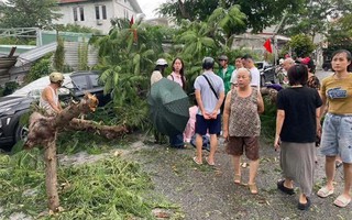Giông lốc khiến cây phượng bất ngờ gãy đổ đè 1 cháu bé bị thương