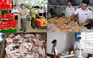Truy xuất nguồn gốc thực phẩm