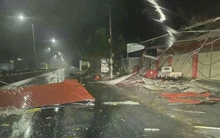 Bão số 10 (Bualoi): Gió quần thảo dữ dội, cây xanh ngã đổ ở miền Trung