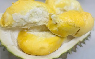 Lão nông miền Tây trồng được giống sầu riêng lạ, bán 700.000 đồng/kg