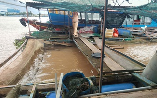 Đâm chìm bè cá trắm cỏ, tài công sà lan bỏ chạy