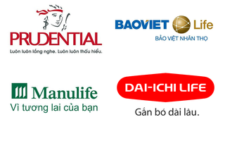 Công ty bảo hiểm nhân thọ nào đang đổ nhiều tiền nhất vào chứng khoán?