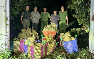 Hai thanh niên mang cả ô tô đi trộm cắp 500 kg sầu riêng