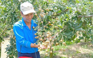 Sản xuất sạch mang lại giá trị cao