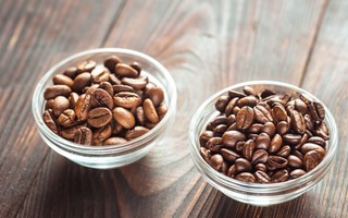 Giống cà phê lâu đời nhất Việt Nam chứa 3 “thần dược” chống tiểu đường