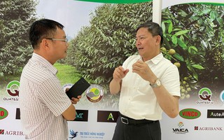Tham tán Thương mại Việt Nam chia sẻ về thị trường sầu riêng Trung Quốc