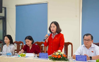 Đoàn Đại biểu Quốc hội TP HCM khảo sát tại nhiều phường, xã khu vực Bà Rịa - Vũng Tàu cũ