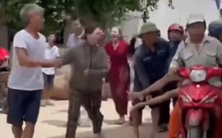 Người đàn ông tử vong sau khi bị đàn ong vây đốt