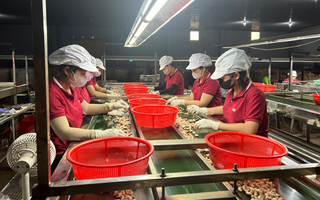 Tăng sức cạnh tranh cho doanh nghiệp Việt