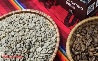 Giá cà phê hôm nay 11-1: Giảm, cà phê ngoại đổ về Việt Nam nhiều