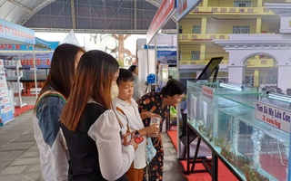 Cà Mau sẽ tổ chức Festival Tôm và hội thi gạo ngon ĐBSCL