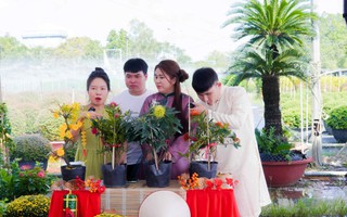 Hoa Tết “bùng nổ” trên TikTok Shop