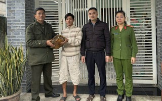 Người dân ở Đà Nẵng giao nộp con vật quý nặng 6,8 kg lạc trong vườn