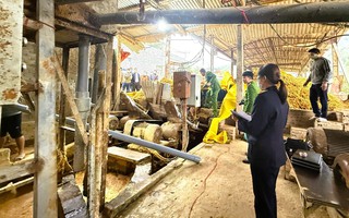 Người phụ nữ tử vong sau khi rơi vào máy nghiền rác 