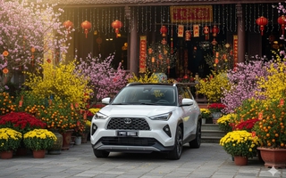 Phí trước bạ ô tô tăng bất thường ở Đà Nẵng, cơ quan thuế nói do sơ suất