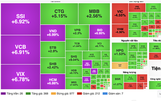 Chuyên gia lý giải nguyên nhân cổ phiếu ngân hàng, chứng khoán tím lịm sáng 12-1