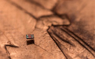 Robot siêu nhỏ biết bơi, tự suy nghĩ và hành động