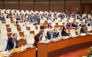 Giới thiệu 122 người ứng cử đại biểu Quốc hội khóa XVI chuyên trách ở Trung ương