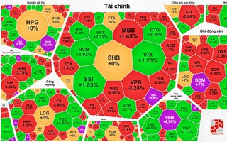 Chứng khoán ngày 14-1 rung lắc dữ dội, VN-Index "trượt" khỏi mốc 1.900 điểm