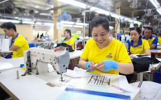 Việt Nam vươn mình phát triển, hội nhập: Bệ đỡ để doanh nghiệp lớn mạnh