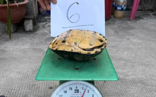 Công an TPHCM bắt giữ nhóm người lẻn vào chùa trộm cắp