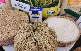 Gạo Lộc Trời bổ nhiệm tổng giám đốc mới