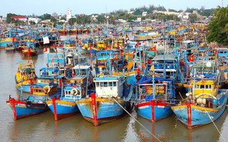 Thủ tướng chỉ đạo lập đoàn kiểm tra chống IUU, Bộ Công an điều tra dứt điểm vụ lô hàng cá cờ kiếm