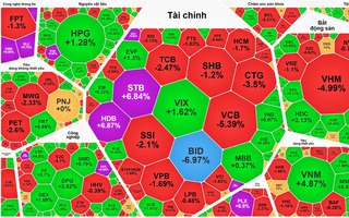 VN-Index siảm sâu sau đợt tăng mạnh, cổ phiếu có vốn nhà nước có còn dẫn sóng?