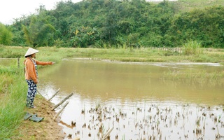 Hỗ trợ bèo bọt, làm đường cẩu thả