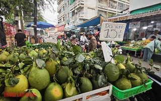 Giá bưởi da xanh bất ngờ rẻ ngay trước tháng Chạp
